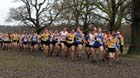 Start of the senior mens Northern Cross Country Champs, Knowsley Safari Park. Photo: David T. Hewitson/Sports for All Pics